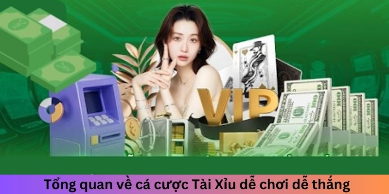 Tổng quan về cá cược Tài Xỉu dễ chơi dễ thắng